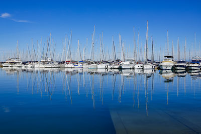 Boats in harbor