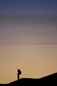 silhouette