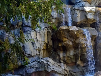 Close-up of rock formation against plants