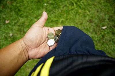 Close-up of hand holding small plant on field