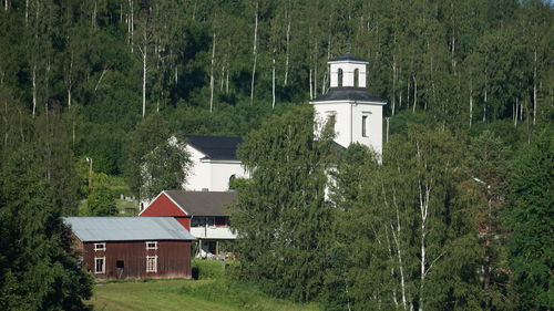 House amidst trees and plants growing on field