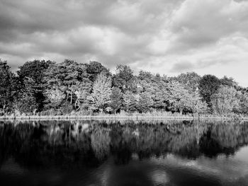 Reflection of trees in calm lake against cloudy sky