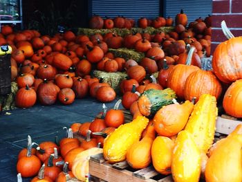 Pumpkins in market