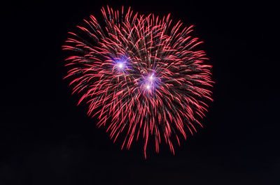 Low angle view of firework display at night