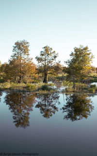 Scenic view of lake against clear sky