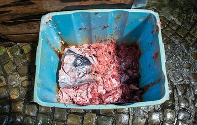 High angle view of waste meat and seafood in garbage bin