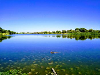 Scenic view of lake against clear blue sky