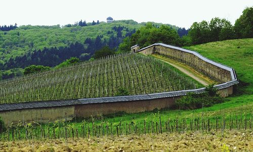 Low angle view of farm against sky