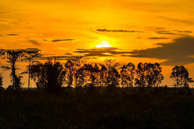 Silhouette trees on field against orange sky