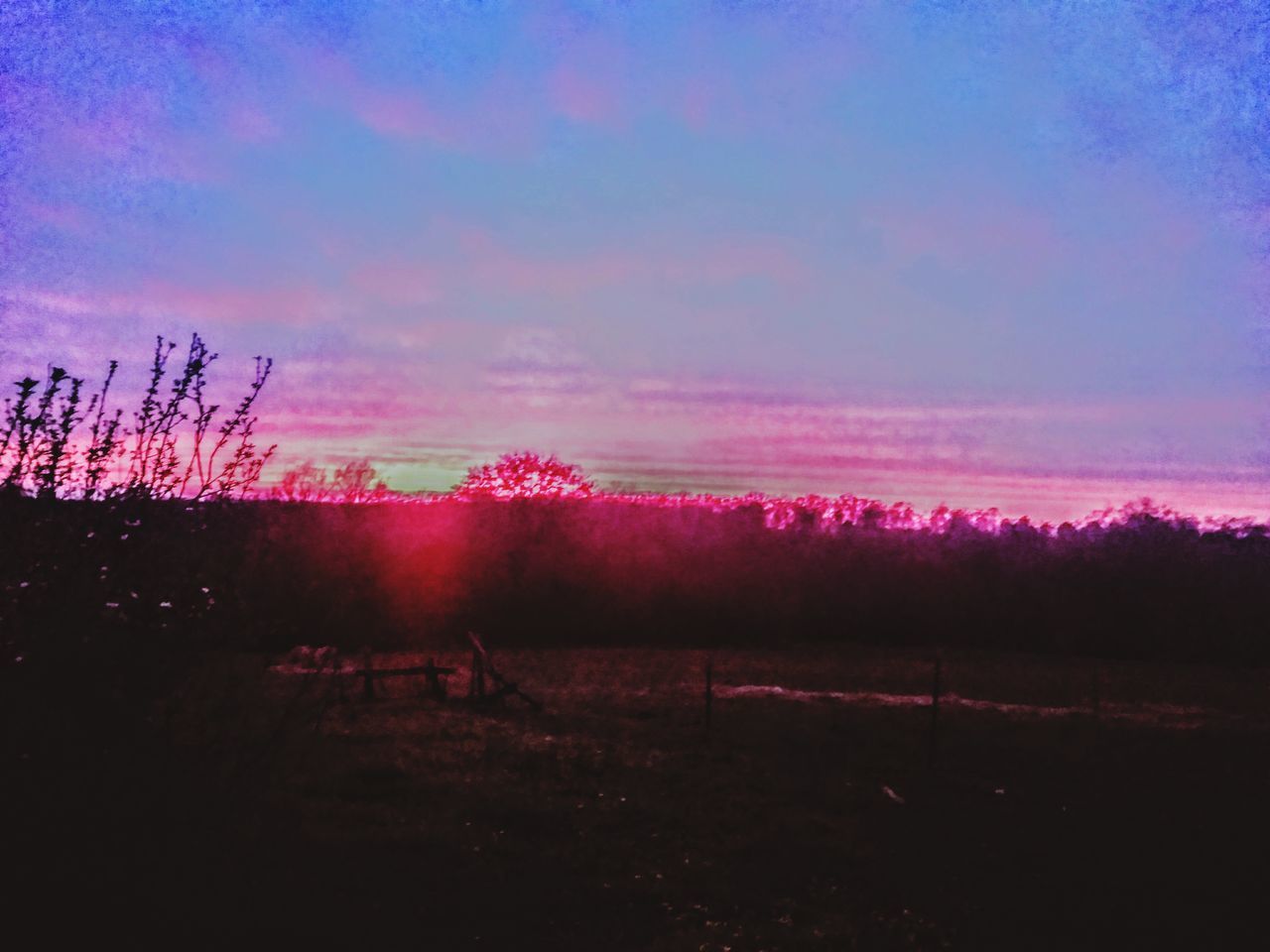 SILHOUETTE TREES ON FIELD AGAINST SKY