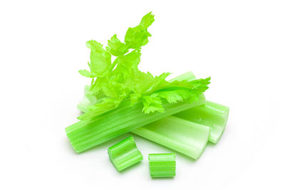 Close-up of green leaves against white background