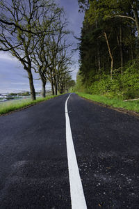 Surface level of road amidst trees against sky