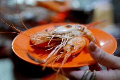 Cropped hand holding plate with seafood