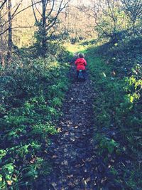View of flowers on grass