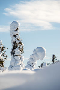 Snow covered land against sky