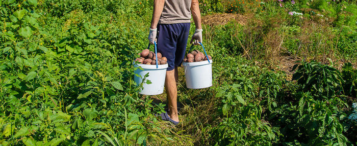 Rear view of man standing against plants