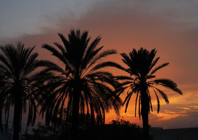 Silhouette palm trees against scenic sky