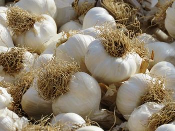 Full frame shot of white garlic