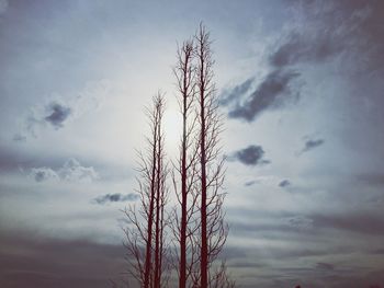 Low angle view of trees against cloudy sky