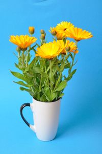 Close-up of yellow flower against blue background