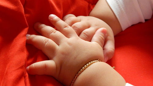 Close-up of hands holding baby