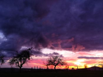 Silhouette trees on field against dramatic sky