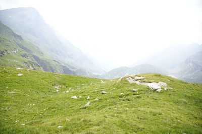 Scenic view of green landscape and mountains against sky