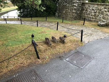 High angle view of footpath by fence