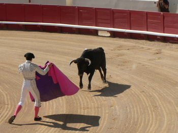 Man with bull  standing outdoors