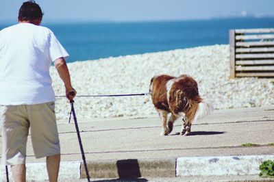 Rear view of man with dog by sea