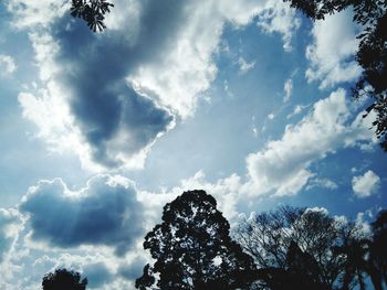 Low angle view of trees against sky