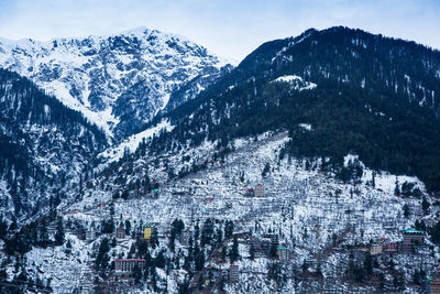 Snow covered trees and buildings against sky