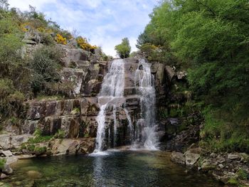 Scenic view of waterfall in forest