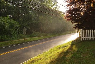 Road amidst trees against sky