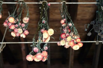 Close-up of red berries hanging on plant