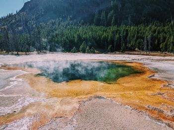 Scenic view of waterfall in forest