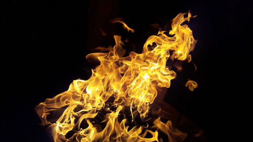 Close-up of bonfire against black background