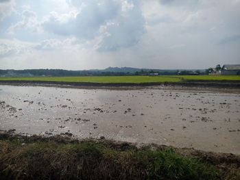 Scenic view of field against sky