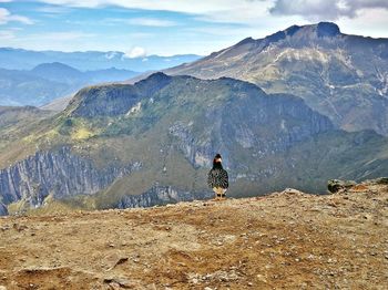 Rear view of man standing on mountain against sky