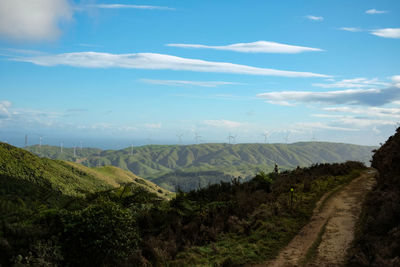 Wind turbines on the green rolling hills of new zealand. scenic view of landscape against sky