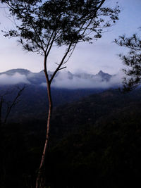 Scenic view of mountains