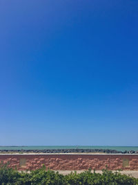 Scenic view of field against clear blue sky