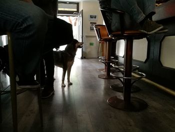Low section of people sitting on hardwood floor