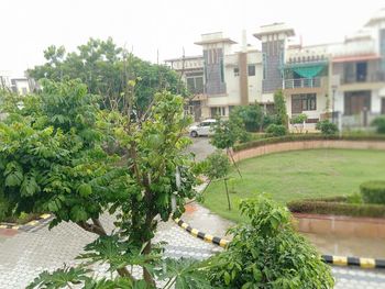 High angle view of trees and buildings in city