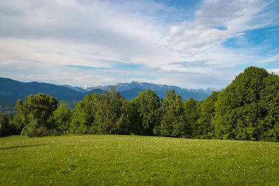 Scenic view of field against sky