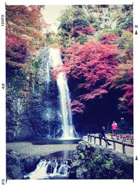 Scenic view of waterfall
