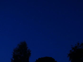 Low angle view of silhouette trees against blue sky at night