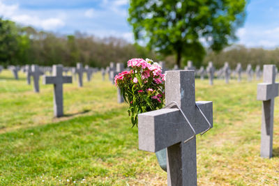 A lot of small, concrete crosses at the german war cemetery in the netherlands.