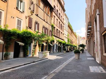 Street amidst buildings in town