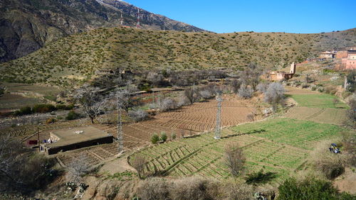 High angle view of agricultural field